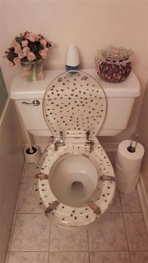 funny toilet photos|More.